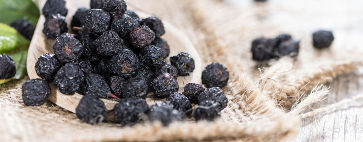 Protein Müsli mit Superfood Aroniabeeren