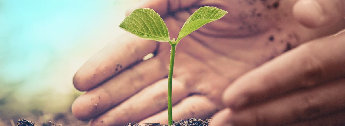 Green Attack: Wir machen uns Gedanken