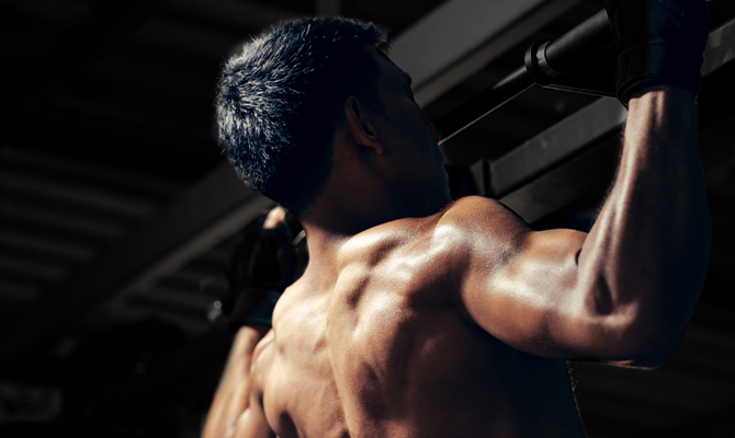 ALL ABOUT Muskelaufbau: Dein ultimativer Guide für Hypertrophie, Training und die richtige Ernährung
