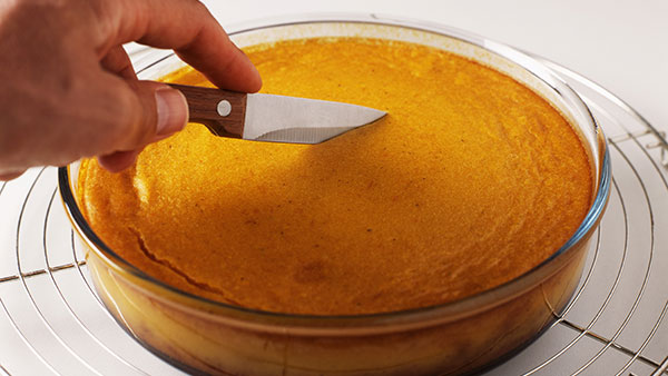 Protein Pumpkin Pie